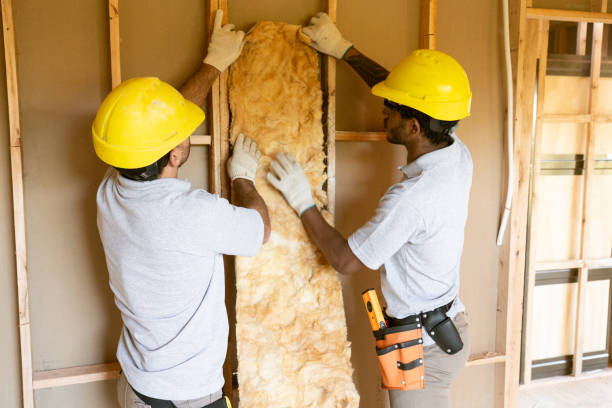 Eco-Friendly or Green Insulation Solutions in Ash Flat, AR